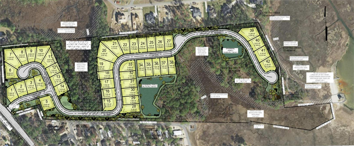 Sussex County Council Denies The Publics Appeal Against Terrapin Island Approval