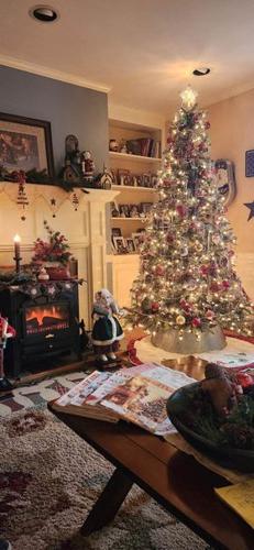 Robin Fisher Sterrett's Christmas tree in Salisbury, Md.
