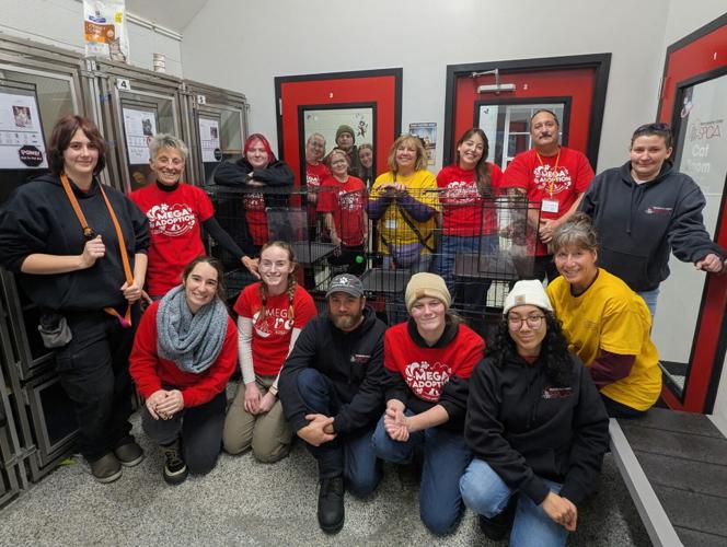 2025 Mega Adoption BVSPCA