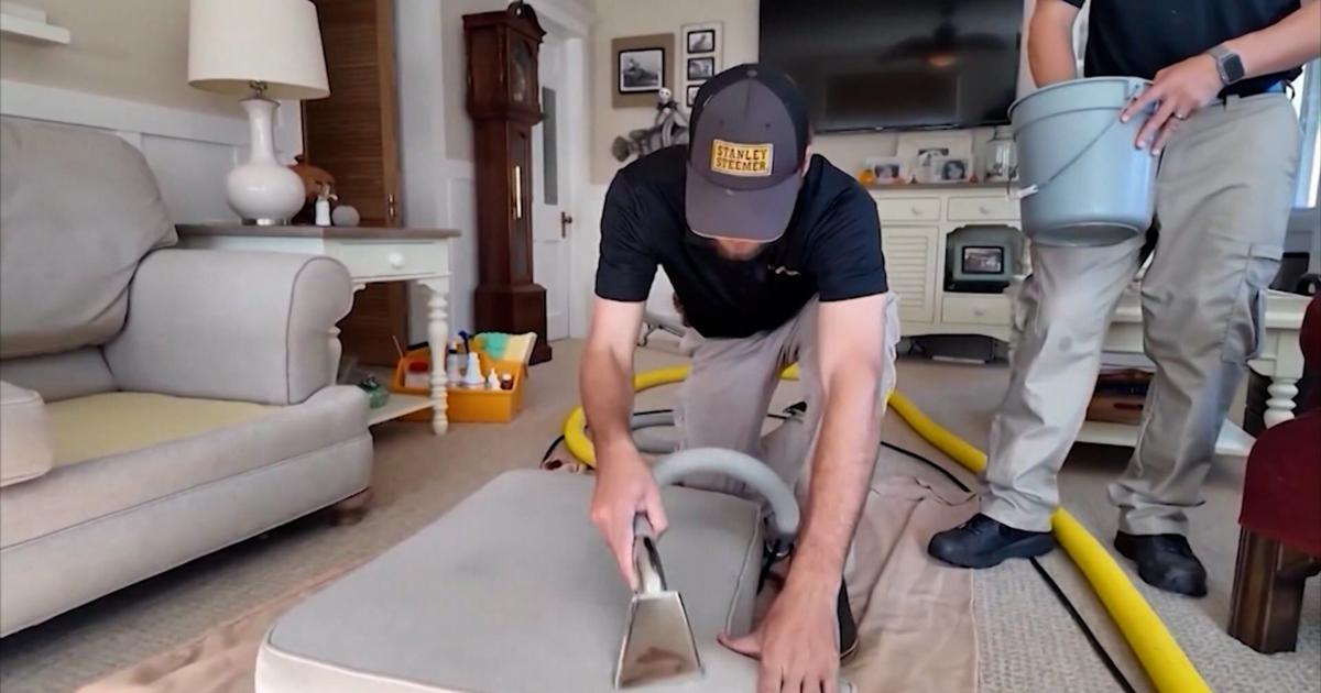 The Techniques Offered by Stanley Steemer make Spring Cleaning Simple ...