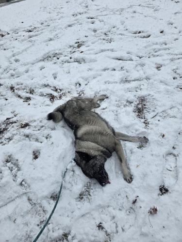 Sam G Federalsburg.jpg