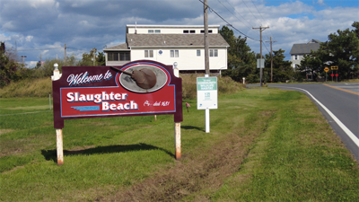 New Senate Map Could Impact Slaughter Beach