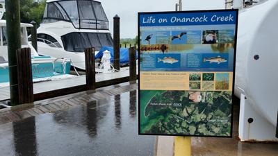 Beach Regulations at Weir Point