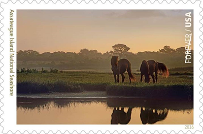 assateague stamp