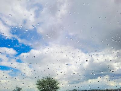 Are PGT Windows Good Quality? 5 Features Tampa Homeowners Should Know About