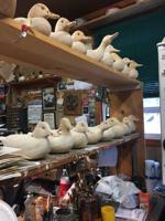 Roe “Duc Man” Terry’s Workshop