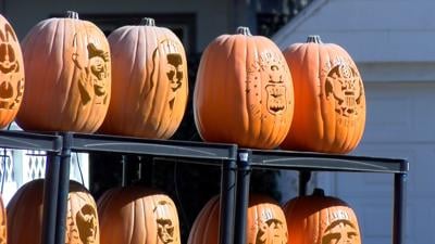Pumpkin Patch