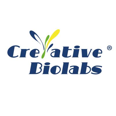 Creative Biolabs Addresses Growing Challenges in CIK Therapy Development