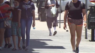 The Latino Vote is Playing a Vital Role in the Presidential Election; What Local Latino Voters are Saying