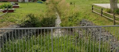 Hudson Branch Berlin