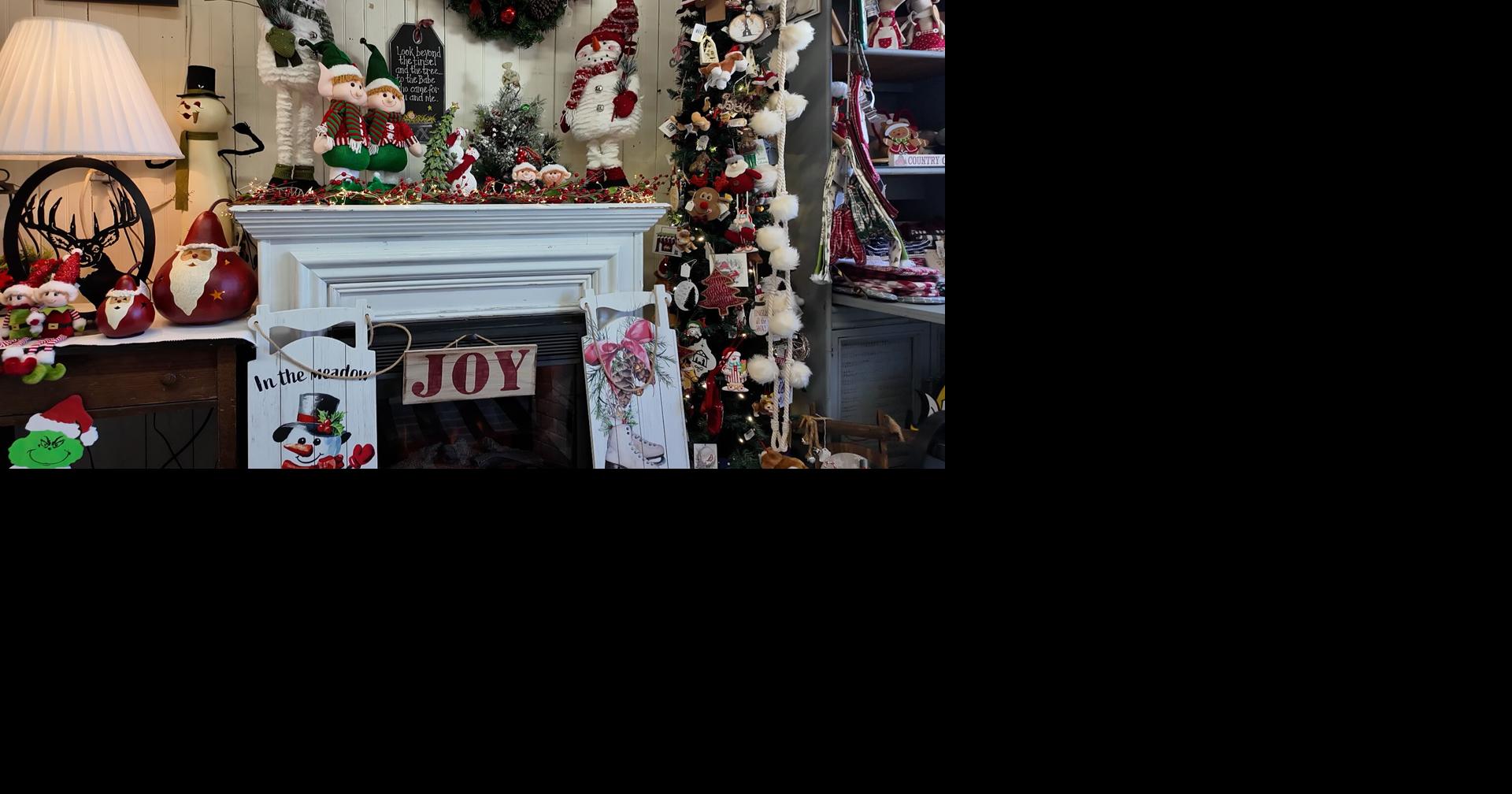 What's Happening Today 11/12/2024 Delmarvalife