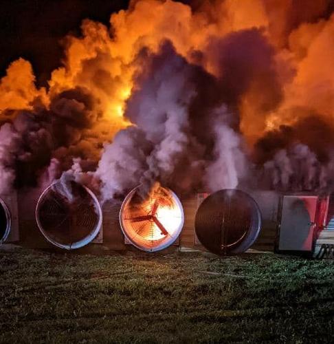 Bridgeville Chicken House Fire