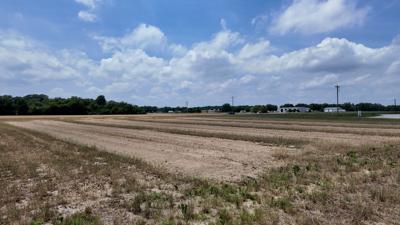 Vintage Family Farms in Hurlock