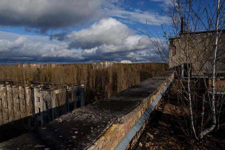 Ukraine Chernobyl Nature