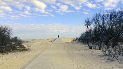 Assateague Island