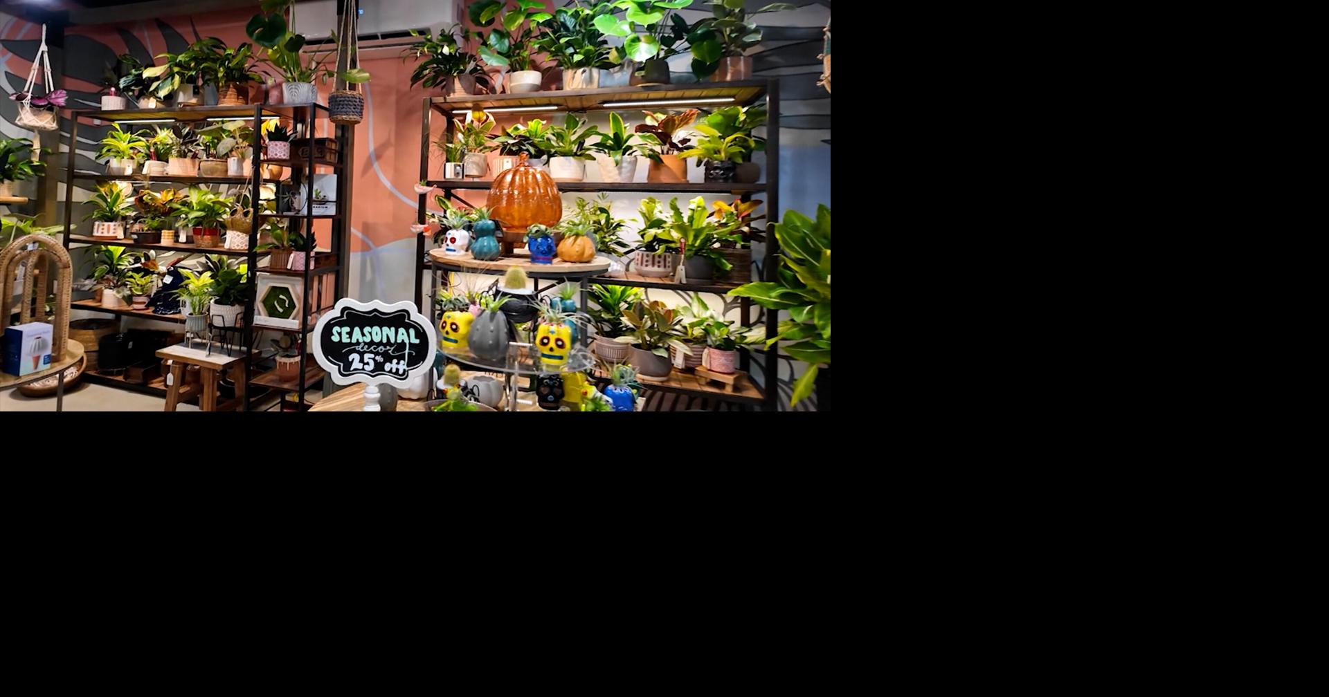 DelmarvaLife's James McDonald is Touring All Around Tidal Roots Garden ...