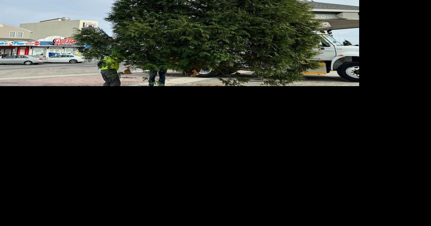Christmas Tree Snap Doesn’t Splinter Rehoboth’s Holiday Spirit Latest