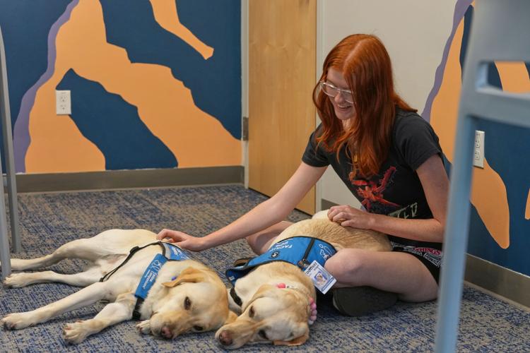 Trauma Dogs School Shooting