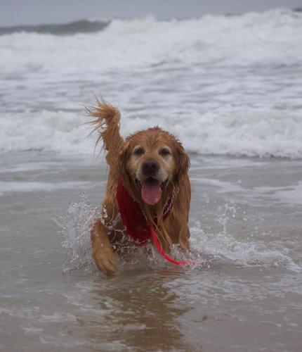 14470669_648592431981141_7411578372809132974_n