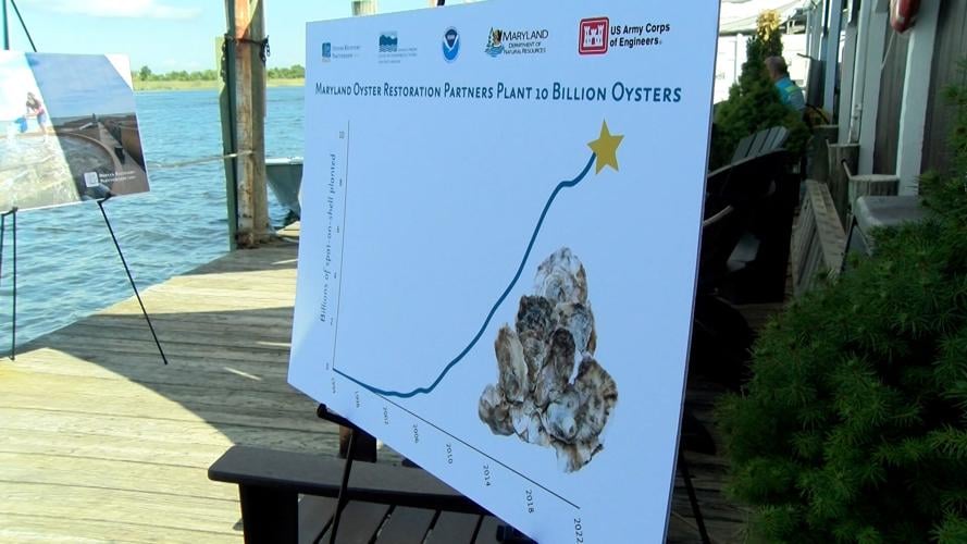 Oyster Recovery Partnership Dumps 10 Billionth Oyster Into The Bay