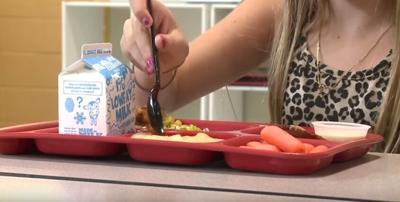 School Lunches   Hip Chick Farm   Tuesday  Sept. 22  2015   YouTube