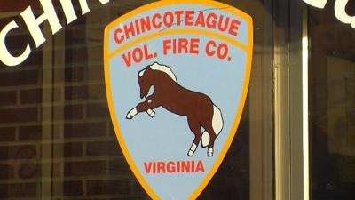 New Details Emerge in Mysterious Case of Stolen Chincoteague Pony