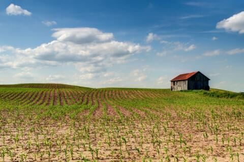 farm stock (640×427)