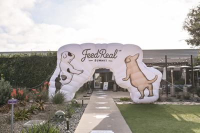 The 4th Annual Feed Real Summit Brings Practical Canine Longevity Education to San Diego