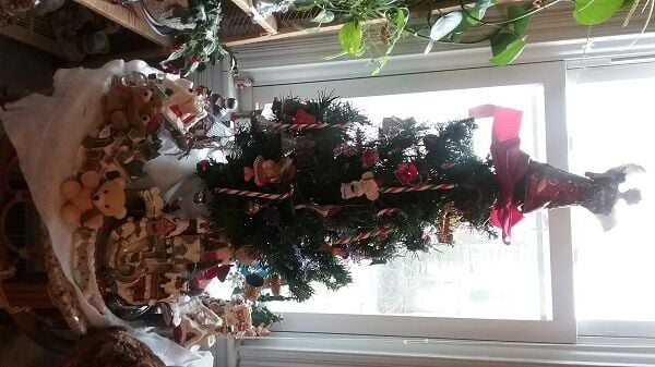 Bayliss family tree Hurlock md