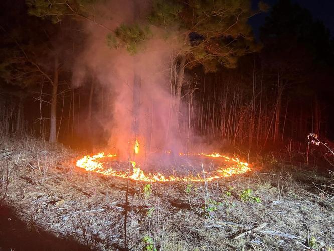 Sunday Brush Fire