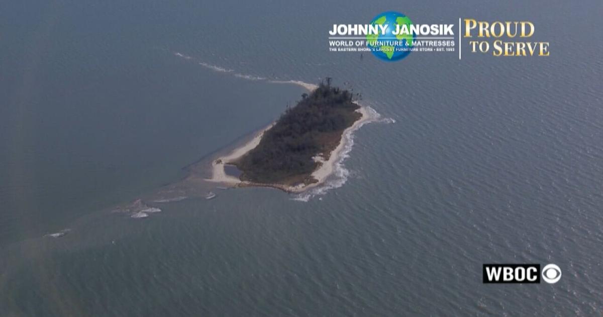 Watts Island Rocks Proud to Serve: Watts Island | Latest News | wboc.com