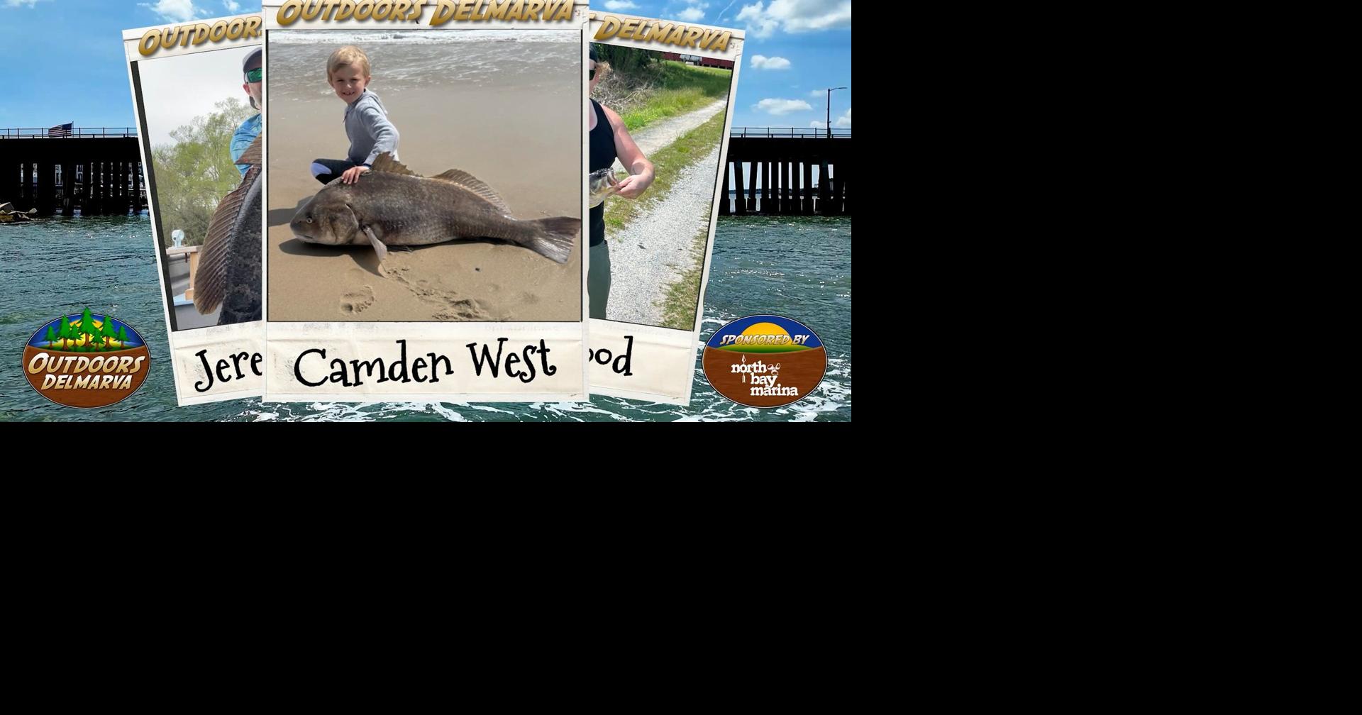 Viewer Pictures - May 31, 2025 | Outdoors Delmarva | wboc.com