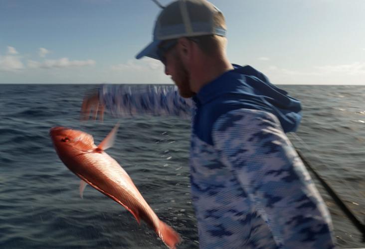 Oceans Fisheries Red Snapper Fight