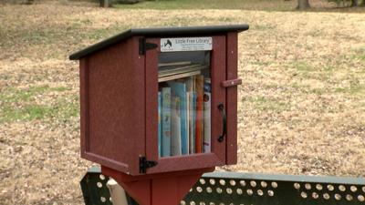 Dover Little Library
