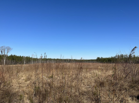 Sussex County Expands Land Preservation By 300 Acres | Latest News ...