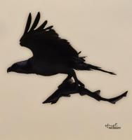 296164490_398200665630592_857908107681661190_n