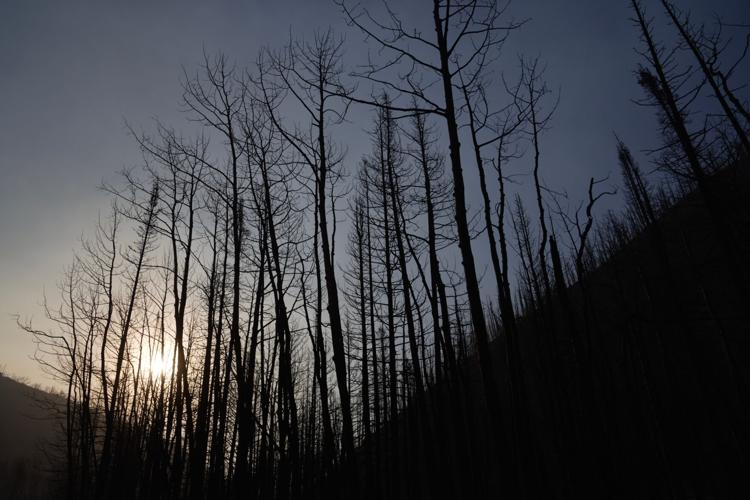 Western Wildfires