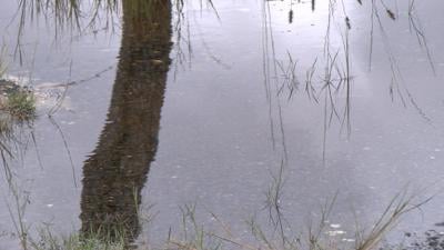 High Water, Flooding Appear in Dorchester County Due to Hurricane Florence