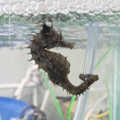 121056739_10164363532715161_166133122503540035_o