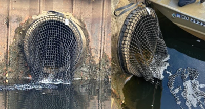 Salisbury Trash Nets