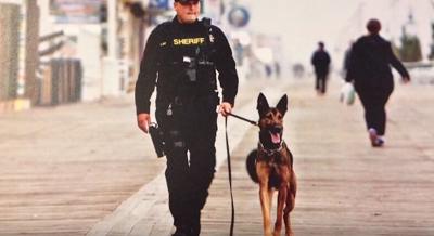 Raising Money for Retired K 9 s in Worcester County   YouTube