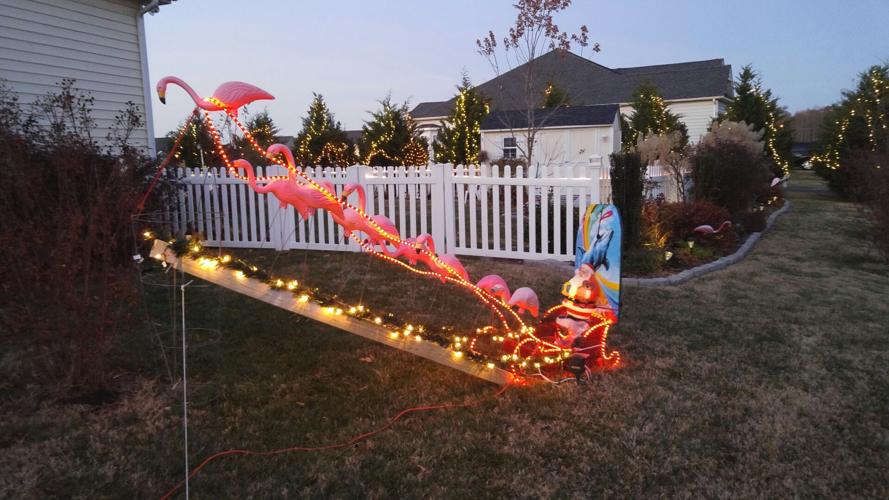 Seta-Miller-house-Milton