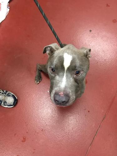 117422700_3549158255096741_6219643370625200351_n (1)