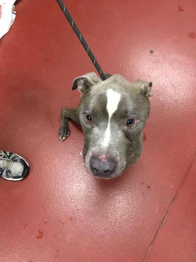 117422700_3549158255096741_6219643370625200351_n (1)