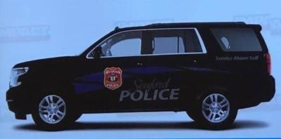 New Car Design Approved for Seaford Police