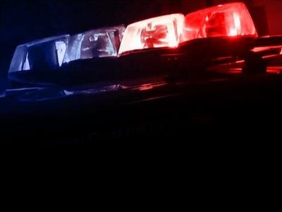 Berlin Police Officer Injured While Arresting Suspect