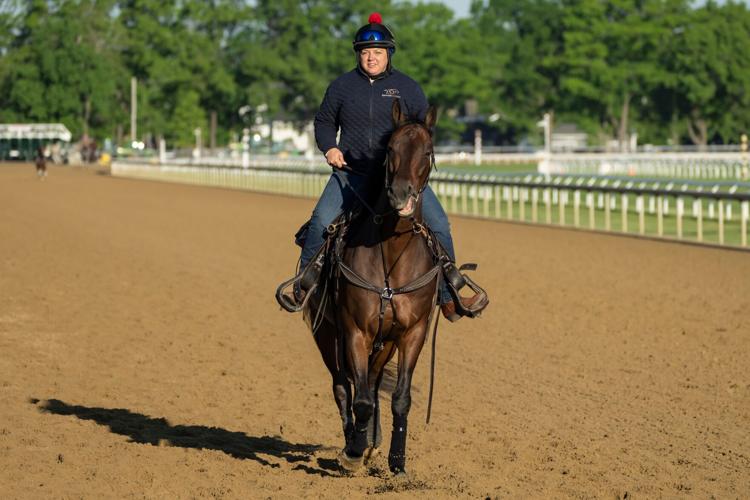 Belmont Stakes Horse Racing