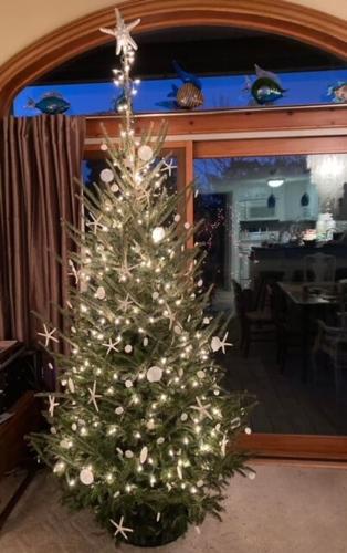 Donna O. Hara-Wetterlund's tree in Bethany Beach, Del.