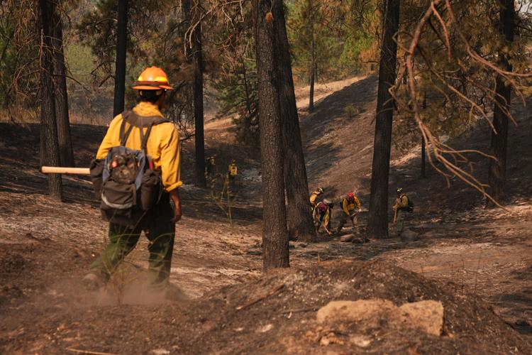 CORRECTION Western Wildfires