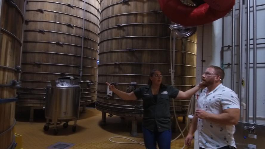 DLDOGFISH111419.00_02_57_25.Still001